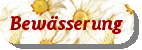 Bew&auml;sserung