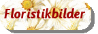 Floristik in Bildern