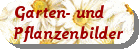Pflanzen- und Gartenbilder