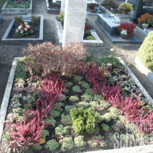 grafische Gestaltungsform