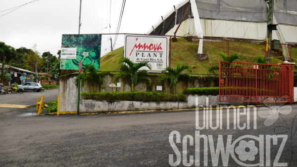 Einfahrt Innovplant Costa Rica