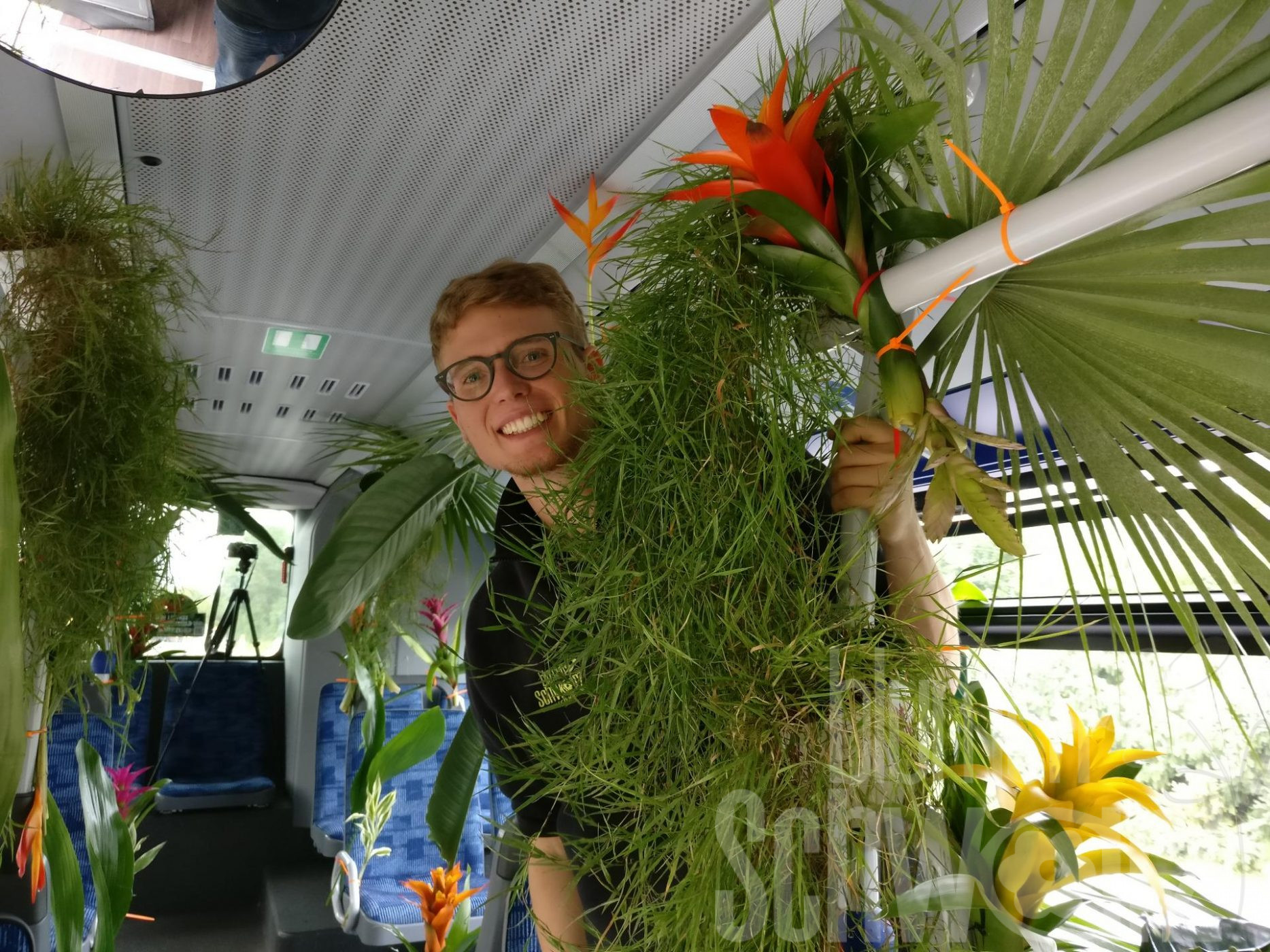 Dschungelbus – Blumen Schwarz