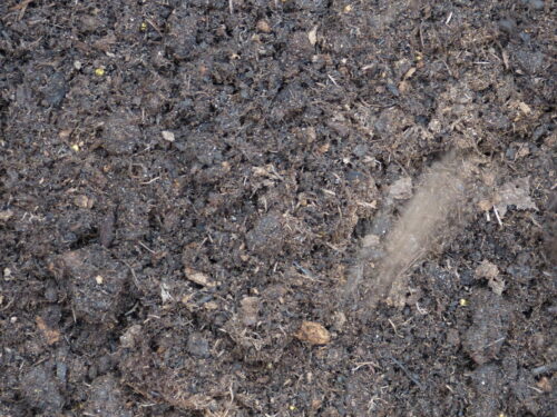 blumen schwarz Erde20l Eimer/Sack inkl. Pfand