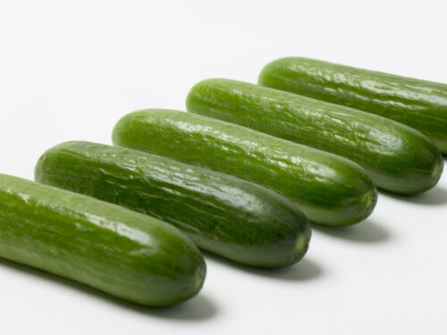 Cucumis, Prado, veredelte Mini-Gurke