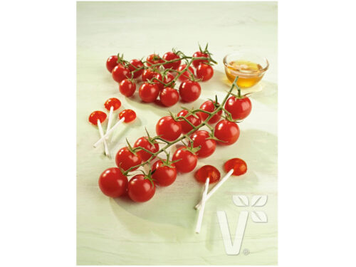 Lycopersicon Solena Red - Rote Nektartomate