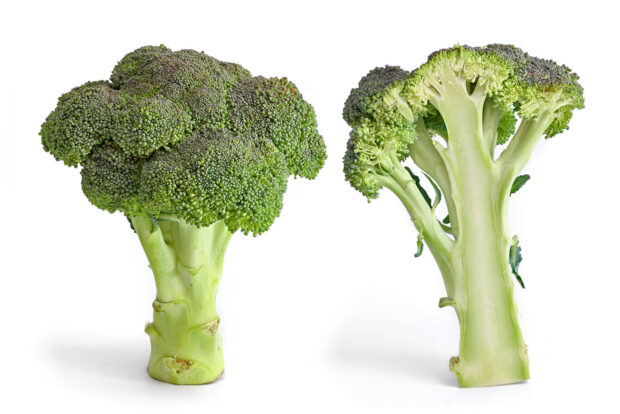 Brassica Marathon - Brokkoli