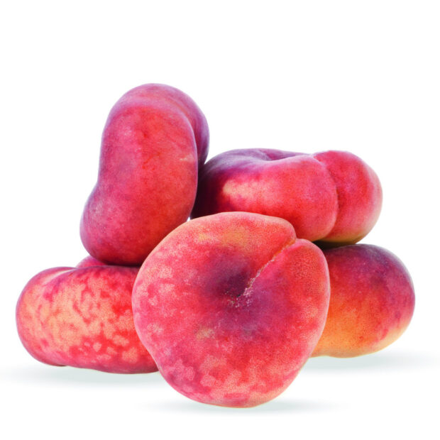 Prunus p. Peach Me Donut T17 - Balkon-Weinberg Pfirsich