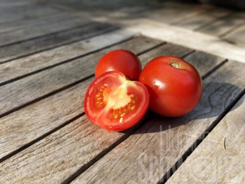 Lycopersicon Campos - Robuste Geschmackstomate