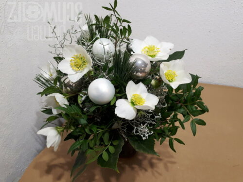 Blumenstrauß Christrosen