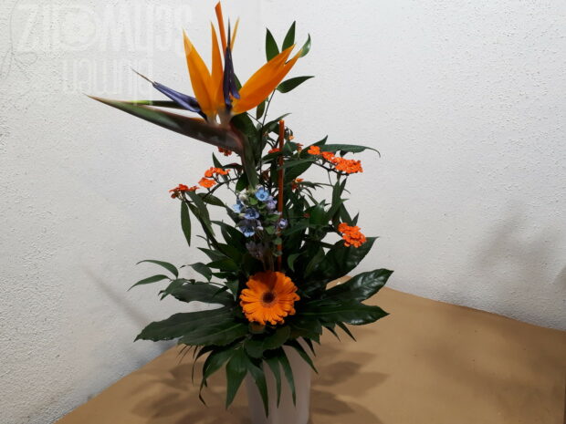 Blumenstrauß mit Strelitzie