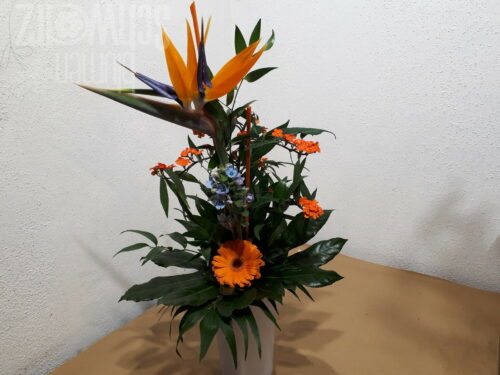 Blumenstrauß mit Strelitzie