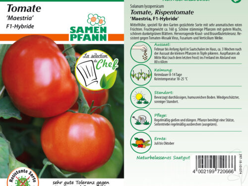 Tomaten Maestria F1