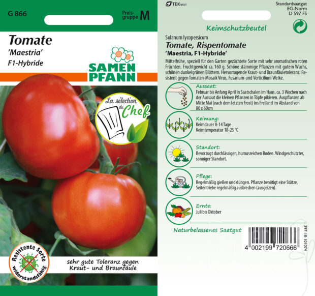 Tomaten Maestria F1