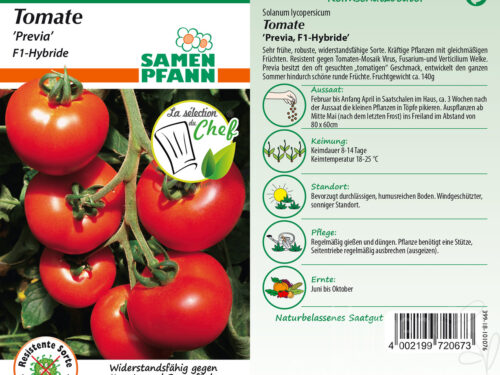 Tomaten Previa F1