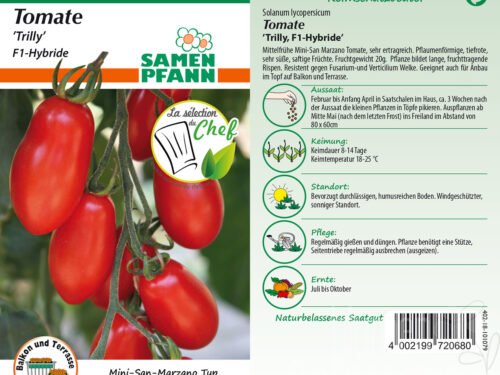 Tomaten Trilly F1