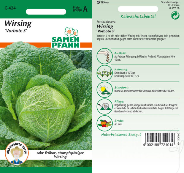 Wirsing Vorbote 3