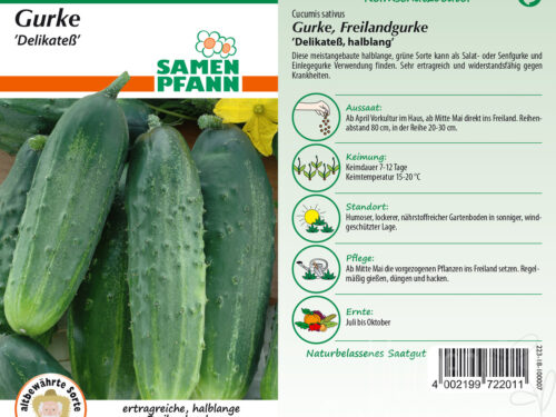Gurken Delikateß