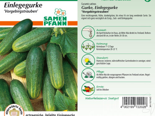 Gurken Vorgebirgstrauben
