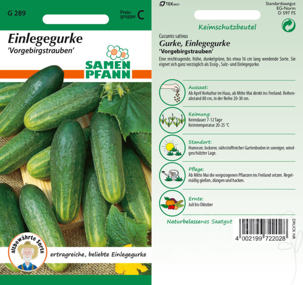 Gurken Vorgebirgstrauben