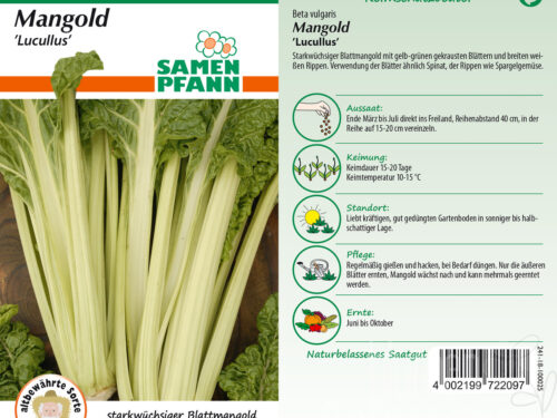 Mangold Lucullus