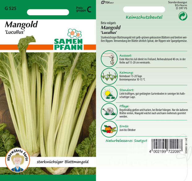 Mangold Lucullus