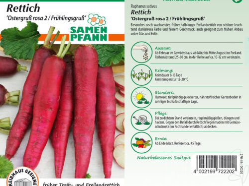 Rettich Ostergruß rosa 2