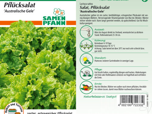 Pflücksalat Australische Gele