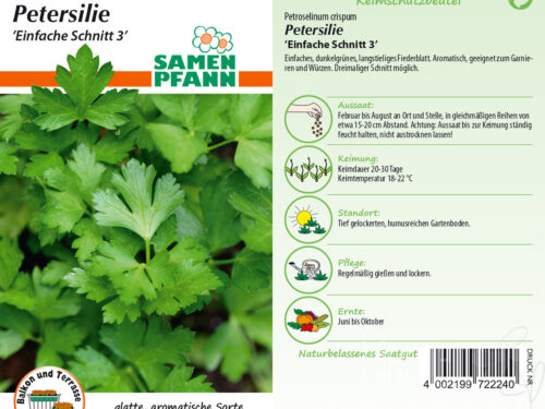 Petersilie Einfache Schnitt 3
