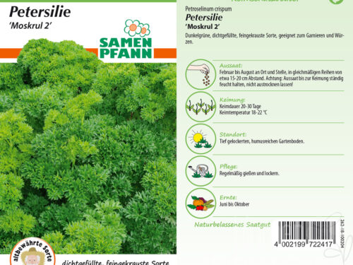Petersilie Mooskrause 2
