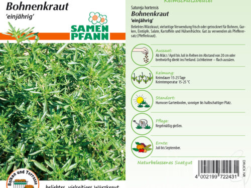 Bohnenkraut