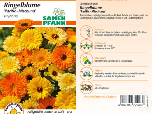 Ringelblumen Pacific Mischung