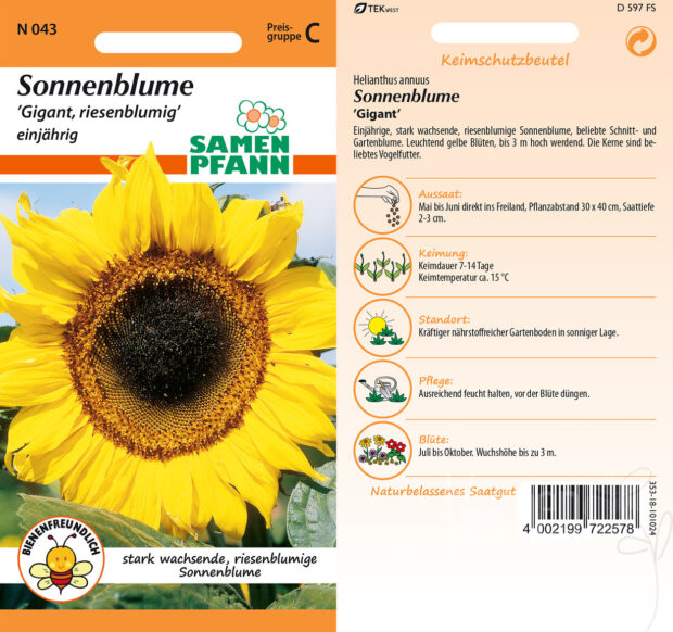 Sonnenblumen Gigant