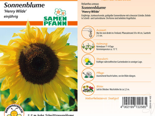 Sonnenblumen Henry Wilde