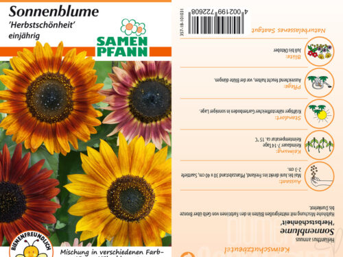Sonnenblumen Herbstschönheit