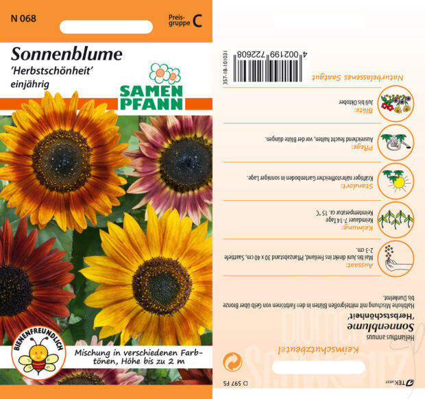 Sonnenblumen Herbstschönheit