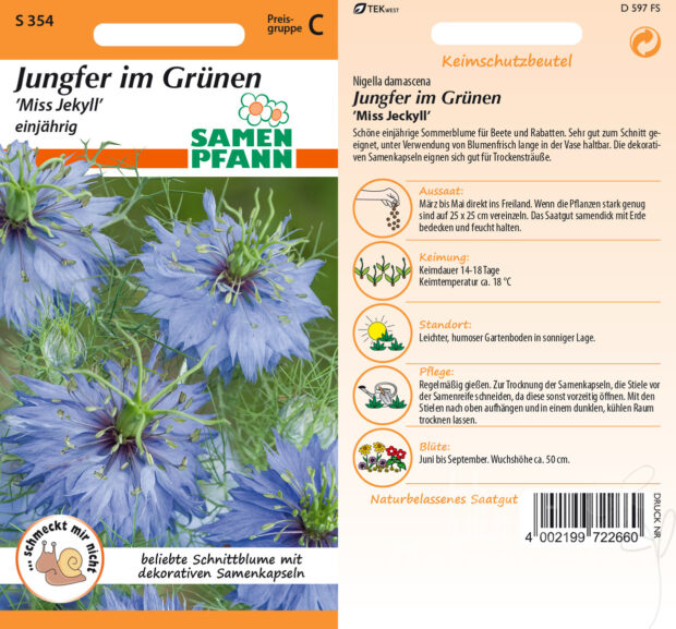 Jungfer im Grünen Blau