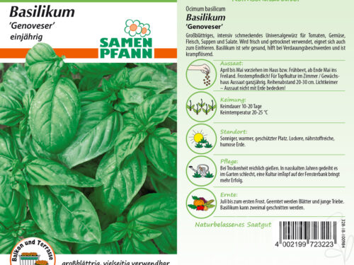Basilikum Genoveser