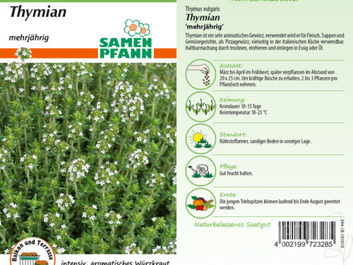 Thymian