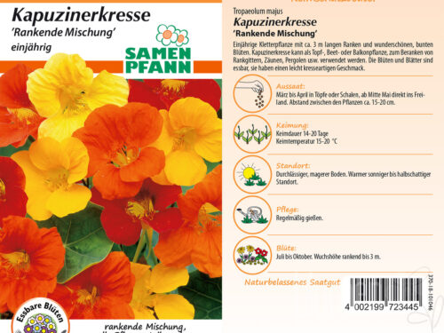 Kapuzinerkresse rankende Mischung