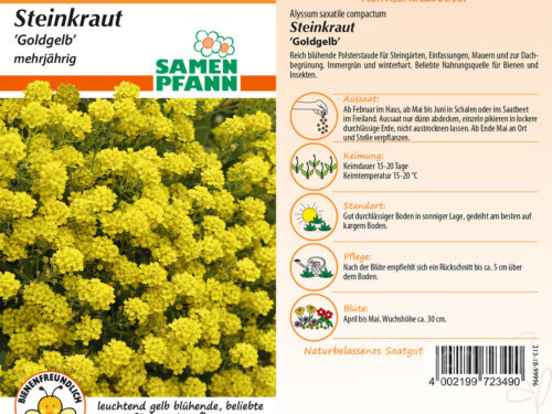 Steinkraut goldgelb