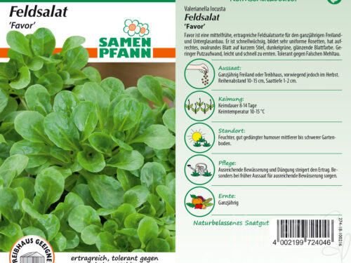 Feldsalat Favor
