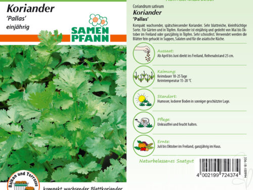 Koriander Pallas
