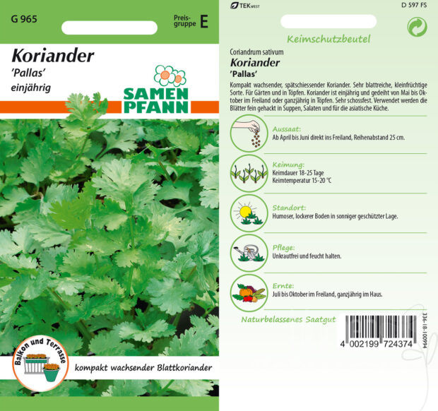 Koriander Pallas