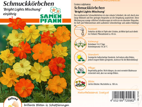 Schmuckkörbchen Bright Lights Mix