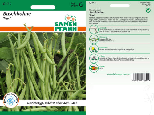 Buschbohnen Maxi