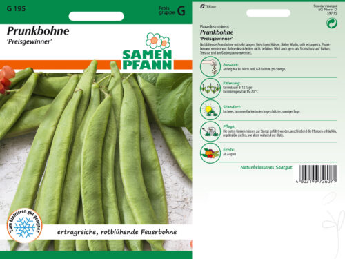 Prunkbohnen Preisgewinner