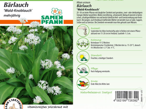 Bärlauch