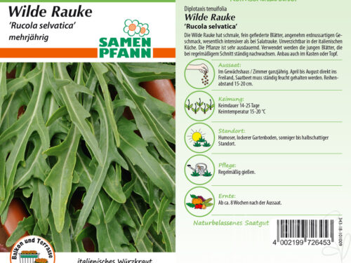 Wilde Rauke