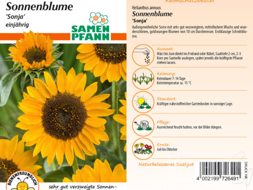 Sonnenblumen Sonja