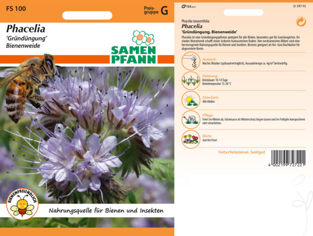 Gründüngung Phacelia
